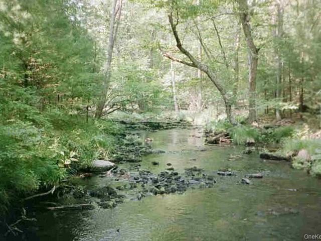 Land for sale in Glen Spey, New York