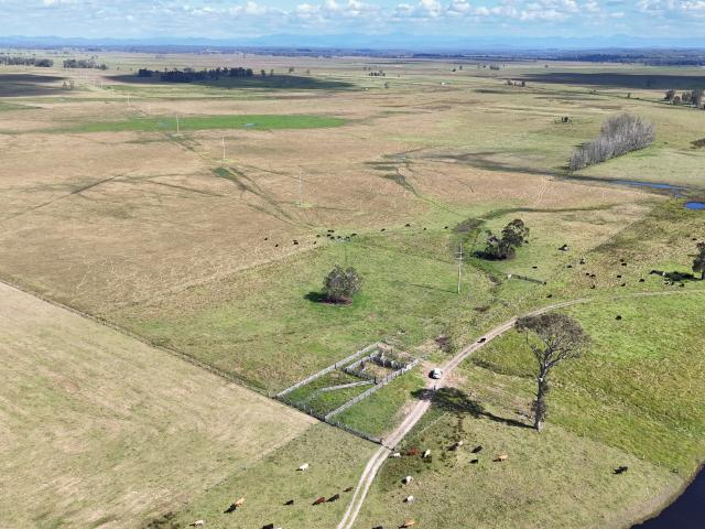 Property for sale in Clybucca, New South Wales