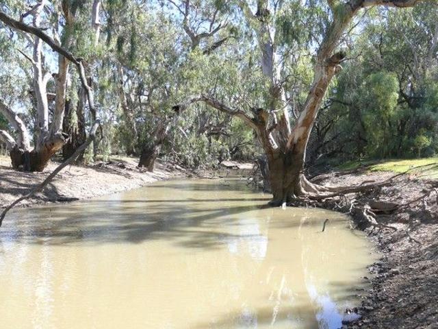 Cottage for sale in Warren, New South Wales