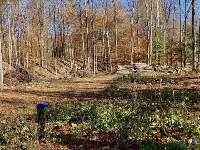 Land for sale in Chittenden, Vermont
