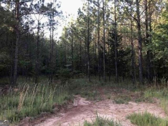 Land for sale in Crawfordville, Georgia