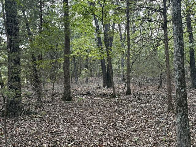 Land for sale in Ark
