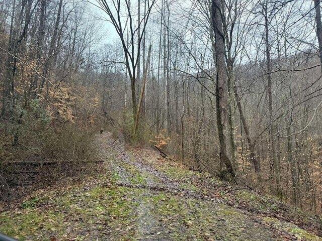Land for sale in Shelbiana