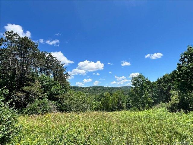 Land for sale in Roscoe, New York