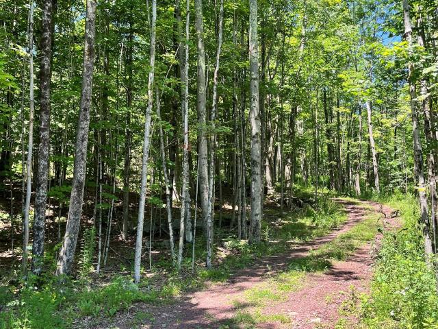 Land for sale in Roscoe, New York