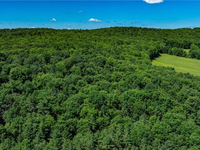 Farm for sale in Norwich, New York
