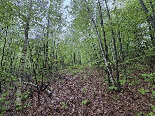 Land for sale in Deerfield, Massachusetts