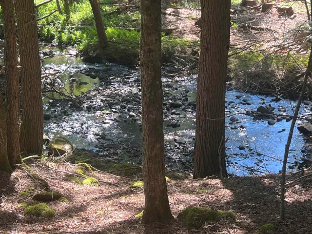 Land for sale in New Hampshire