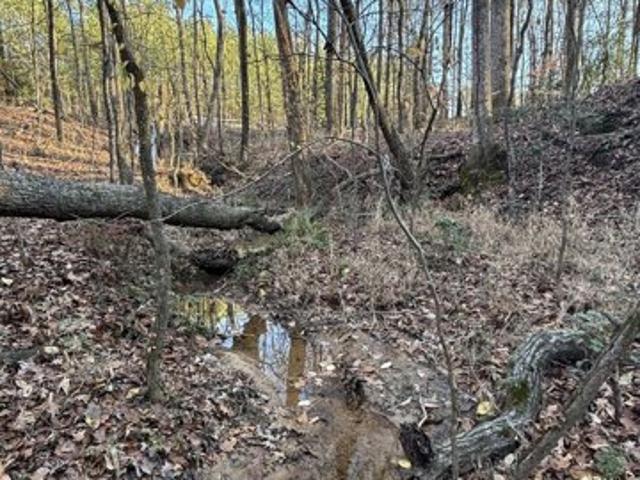 Land for sale in Covington Land for sale in Covington