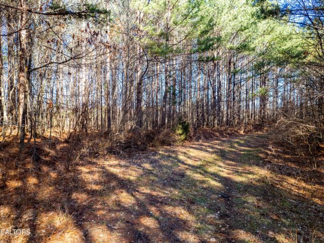 Land for sale in Rockwood, East Tennessee