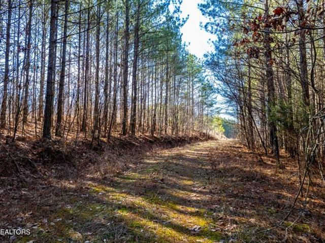 Land for sale in Rockwood, East Tennessee