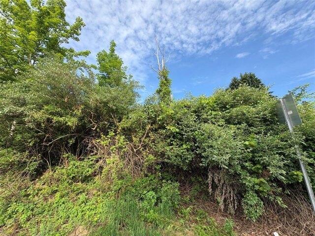 Land for sale in Binghamton