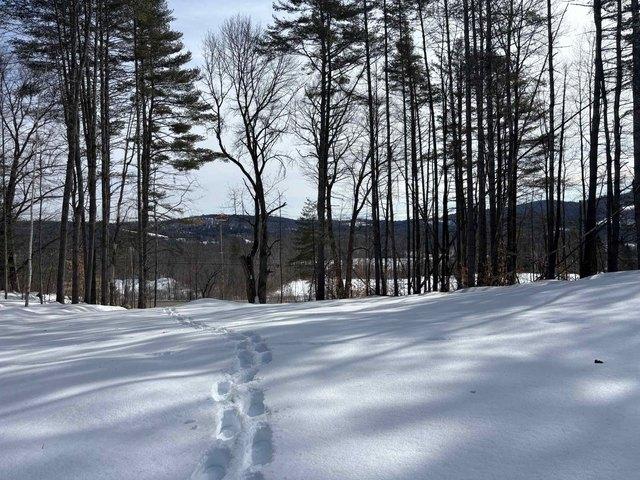Land for sale in Lower Waterford, Vermont