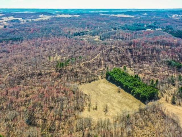 Land for sale in Eleva, Wisconsin