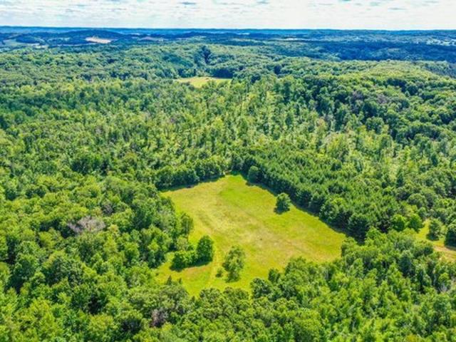Land for sale in Eleva, Wisconsin