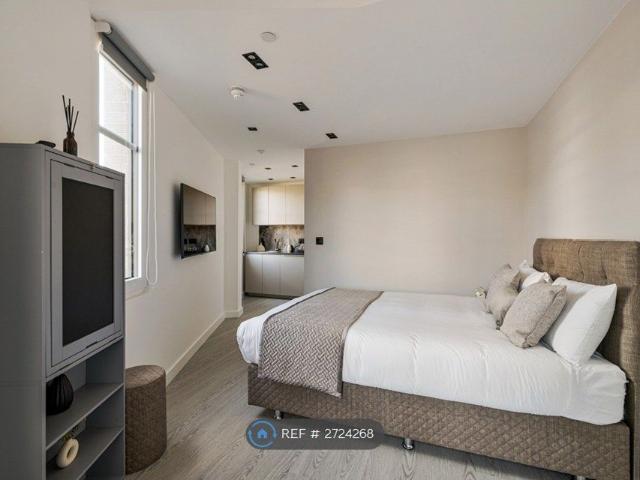 Studio for rent in Greater London