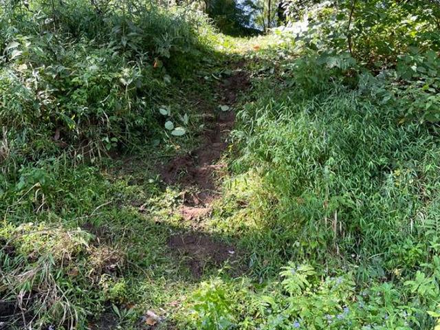 Land for sale in West River, Maryland