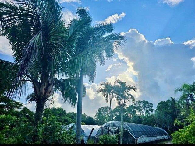 Land for sale in Loxahatchee, Florida