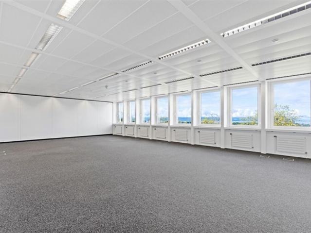 Büro mieten in Crissier, Waadt