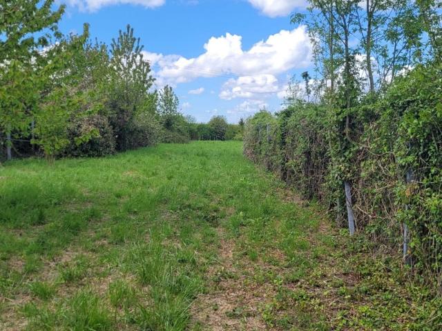 Terrain vente à Saint-Jean-d'Angély, Doeuil-sur-le-mignon