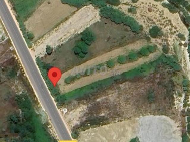 Propriété vente à El Fahs, Tanger-Tétouan