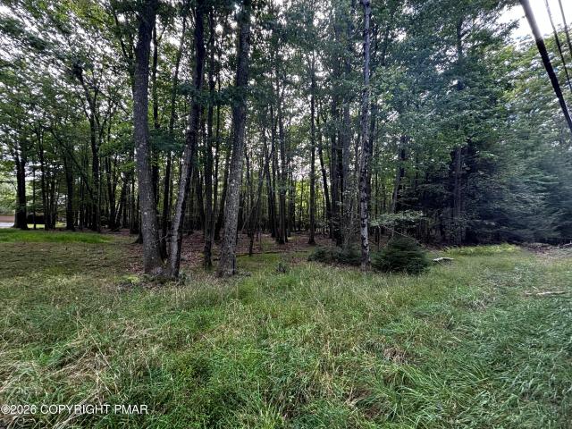 Land for sale in Pocono Township, Monroe County