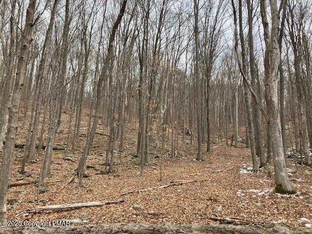 Land for sale in East Stroudsburg