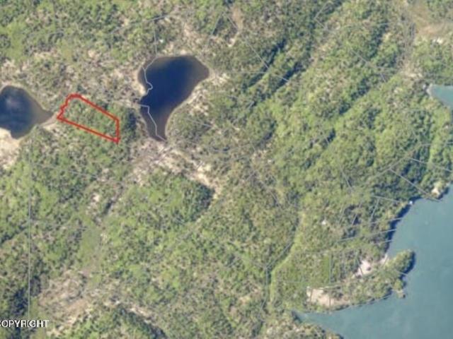 Land for sale in Homer