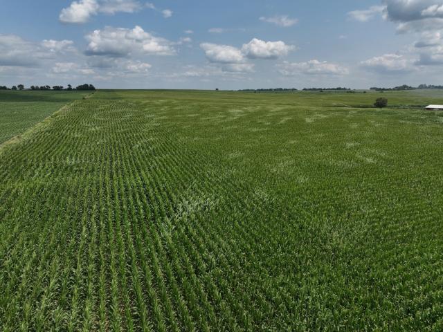 Farm for sale in Kingston, DeKalb County