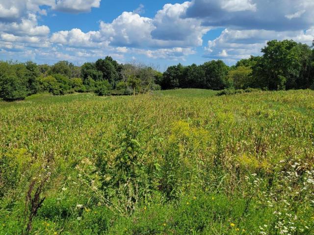 Land for sale in Sussex, Wisconsin