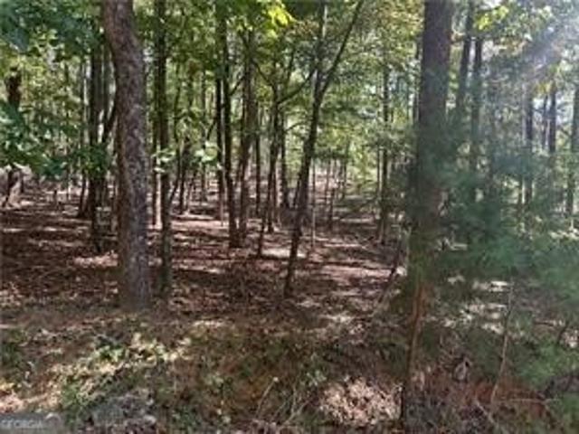 Land for sale in Pickens, Georgia