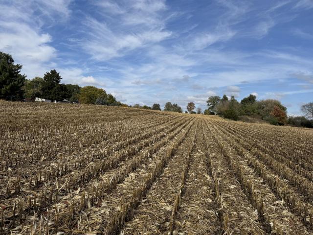 Land for sale in Big Bend, Wisconsin