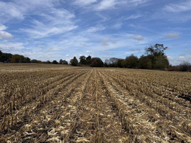 Property for sale in Big Bend, Wisconsin