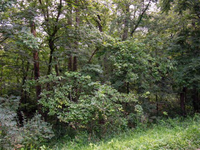 Land for sale in Wisconsin