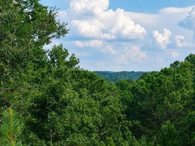 Land for sale in Pickens, Georgia