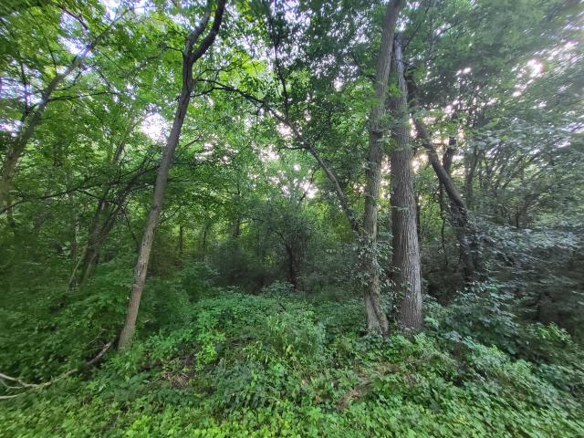 Land for sale in Wisconsin