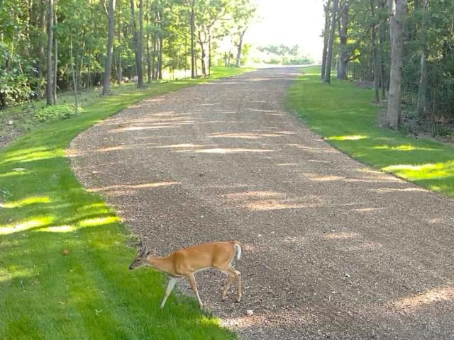 Land for sale in Burlington, Wisconsin