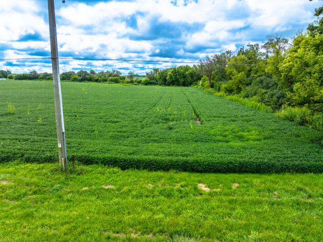 Land for sale in Wisconsin