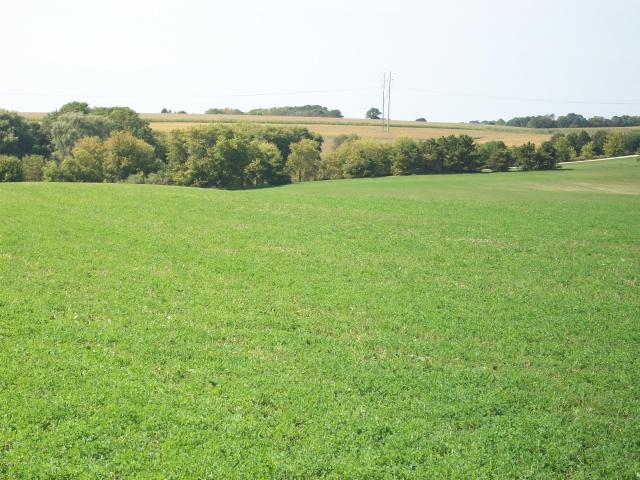 Land for sale in Allenton, Wisconsin