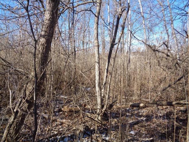 Land for sale in Pell Lake, Wisconsin