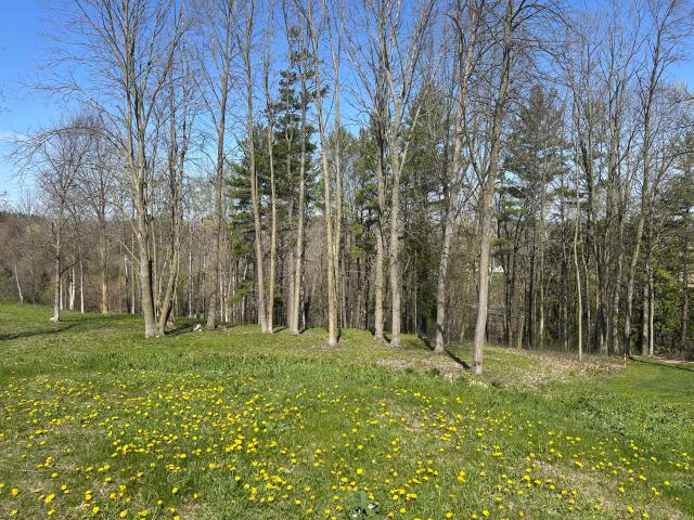 Land for sale in Manitowoc, Wisconsin