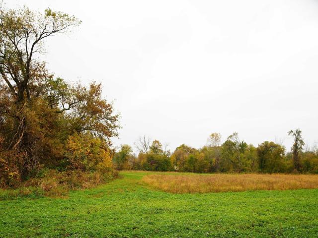 Land for sale in Wisconsin