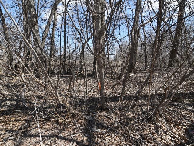 Land for sale in Lannon, Wisconsin