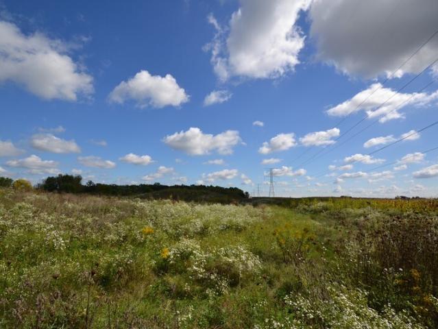 Land for sale in Muskego, Wisconsin