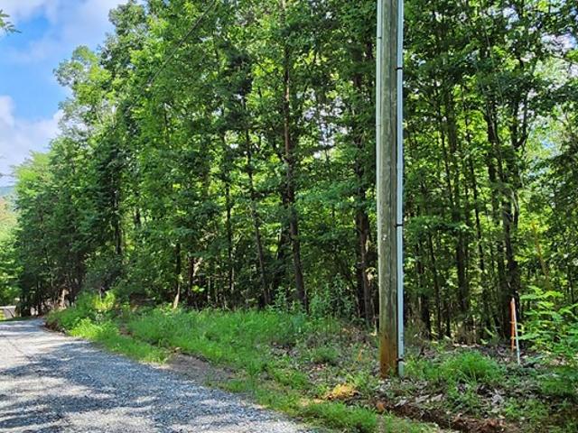 Land for sale in Gilmer, Georgia