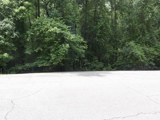 Land for sale in Sparta, Georgia