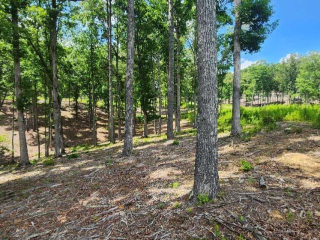 Land for sale in Morganton, Georgia