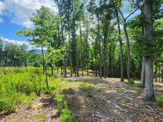 Land for sale in Morganton, Georgia