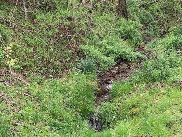 Land for sale in Hayesville, North Carolina