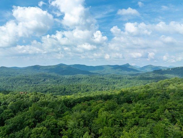 Land for sale in Transylvania, North Carolina